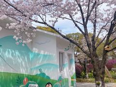 -金鸡湖桃花岛
