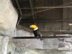 -Zoolung Zoolung动物主题公园(海信广场店)