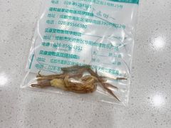 -谐和贝康宠物医院24小时·宠保定点(急重症转诊中心)