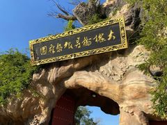 -大槐树寻根祭祖园