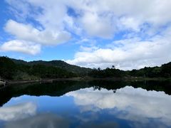 -海南热带雨林国家公园吊罗山景区