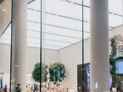 -Apple零售店(济南恒隆广场店)