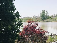 -扬州天乐湖嬉乐谷