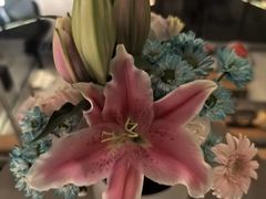 -浅深Cheersum(曹杨店)