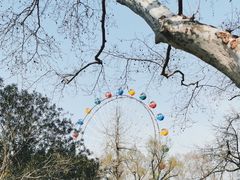 -上海动物园(地铁站)