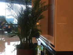 -上海嘉定喜来登酒店