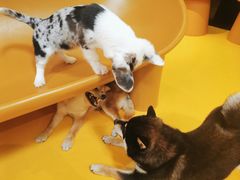 -大族广场Mall&More