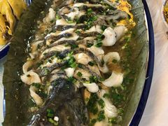 -呼吸森林·生态农庄农家乐私房菜