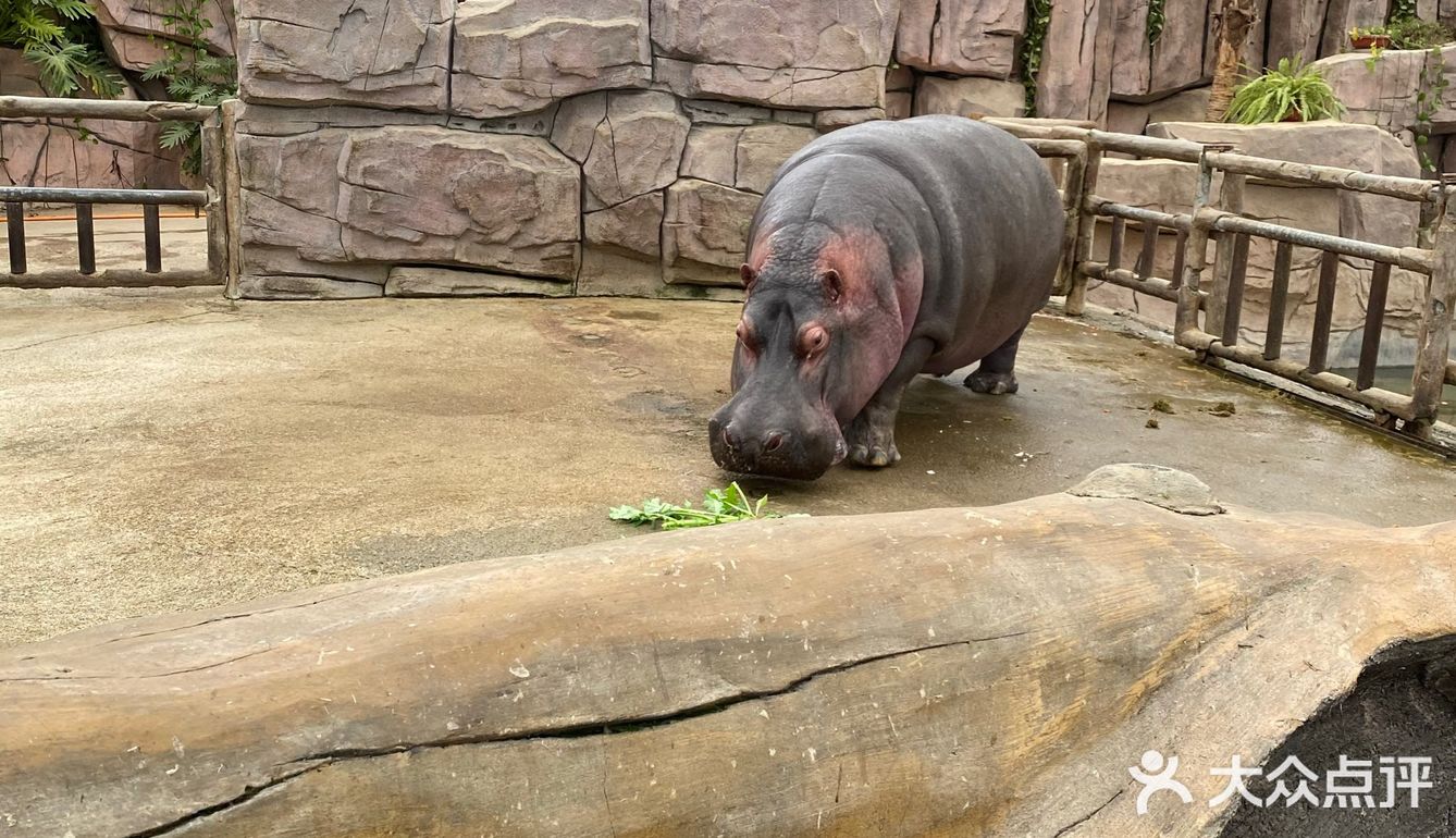 黃島野生動物園