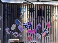-野萃山·潮汕厚果汁(十亩地店)