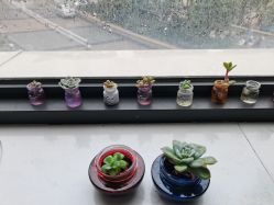 -尚艺造型.剪烫染.接发