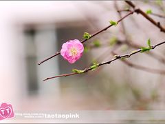 -哈尔滨师范大学(江南校区)