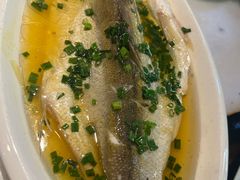 -京城小江南·北京烤鸭·江南土菜·白鱼(中关村店)