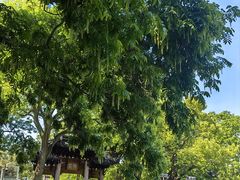 -汇龙潭