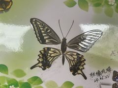 -上海昆虫博物馆