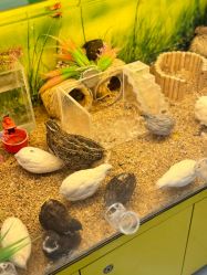 -孩子王童乐园(鹏瑞利青羊广场店)