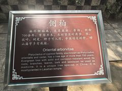 -青岛崂山太清宫