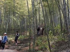-南山风景名胜区