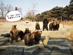 -沈阳森林动物园
