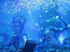 -波塞冬海底世界