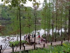 -重庆彩云湖湿地公园