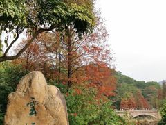 -云溪植物园