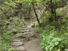 -抱龙峪