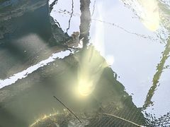 -蓝湾碧波·老字号·疍家非遗海上餐厅