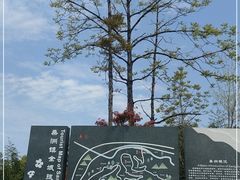 -桑洲油菜花景区