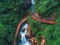 -广州白江湖森林公园