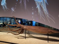 -贝林大翅鲸简餐厅(国家海洋博物馆店)