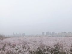 -明秦王墓遗址