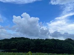 -福建鲤鱼洲酒店