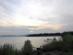 -上海市保健医疗中心(华东疗养院)