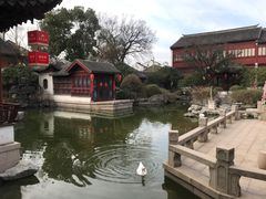-祝家花園(伯渎港店)