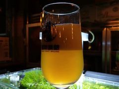 -雪梨精酿 Sydney Coast Brewing(沁春家园店)