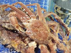 -海鲜潮·株洲海鲜集市(栗雨店)