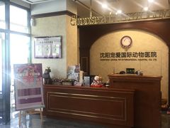 -宠爱国际动物医院· 猫科· 外科·中兽医(长白店)