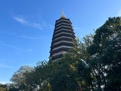 -红梅公园