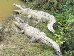 -泉州海丝野生动物世界
