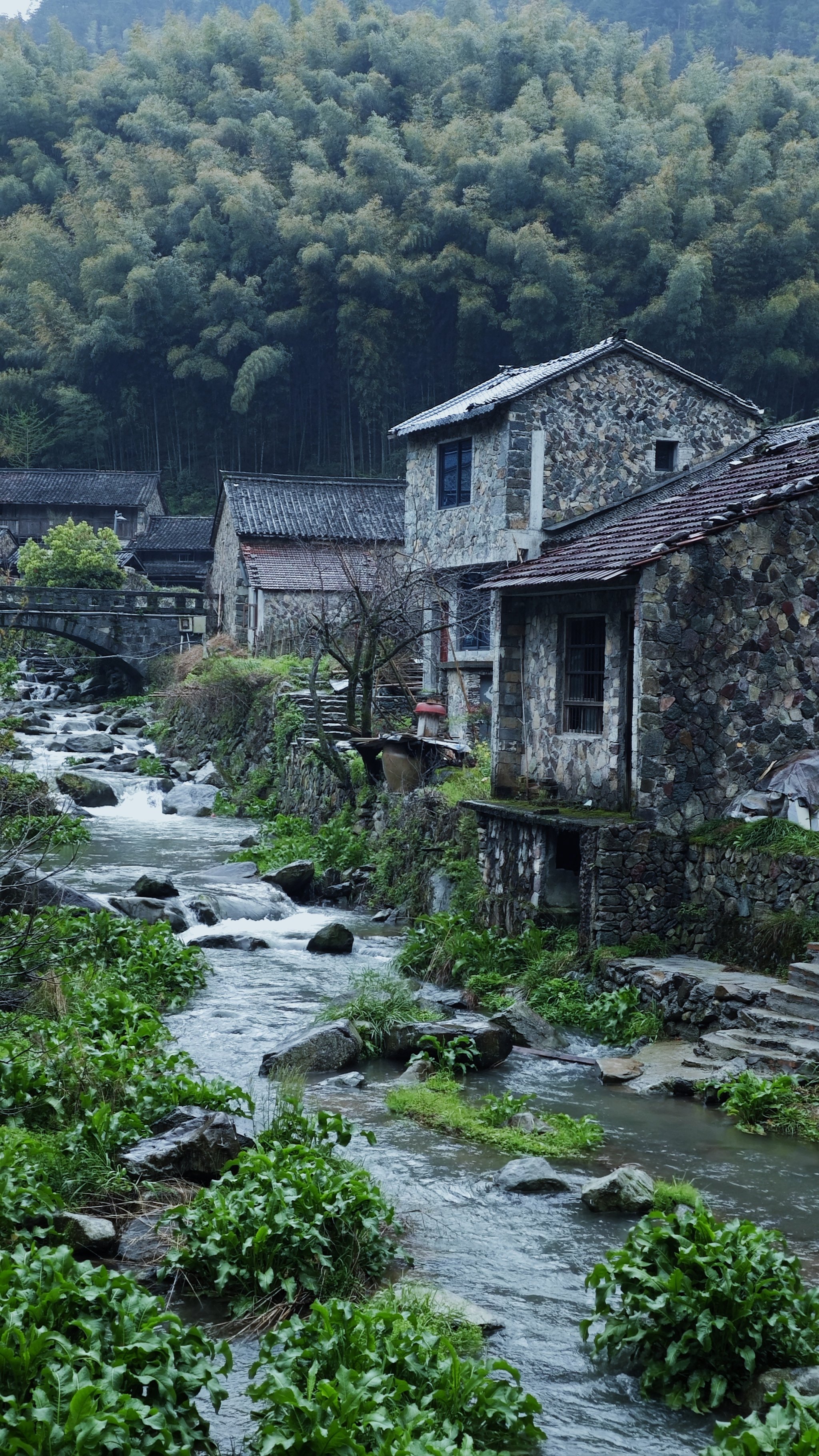 缙云岩下石头村自驾游图片