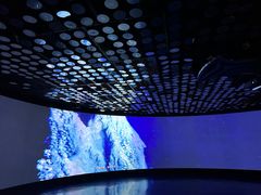 -同济大学四平路校区深海探索馆