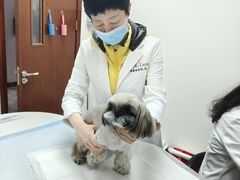 -美联众合动物医院·24h转诊中心