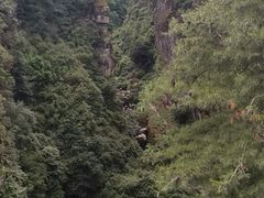 -苍山感通索道