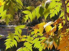 -元大都城垣遗址公园