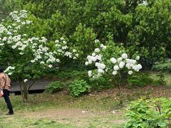 -合肥三国新城遗址公园