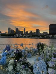 -DNA Wedding 婚礼记(上海店)