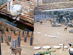 -济南野生动物世界