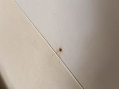 -金茂园大酒店