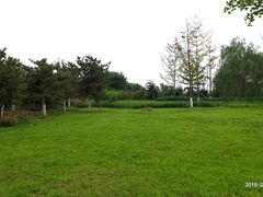 -永定河休闲森林公园